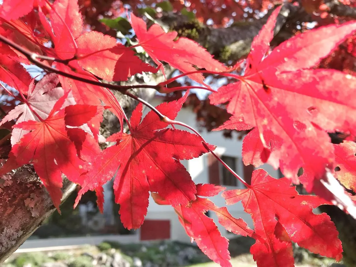 메이린 Lindo Lugar - Just A 7 Minute Walk From The Airport B&B 0*,  스위스