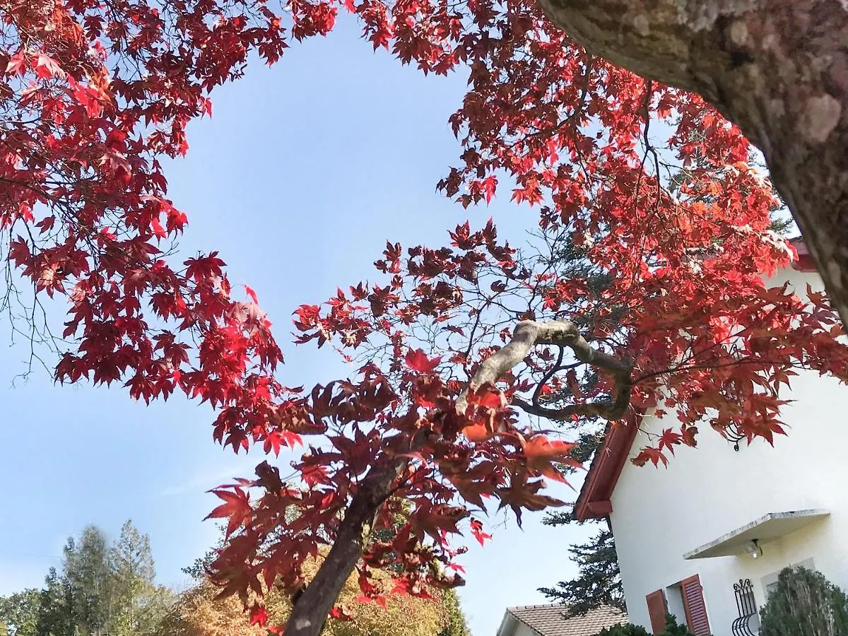 Lindo Lugar - Just A 7 Minute Walk From The Airport Bed & Breakfast Meyrin